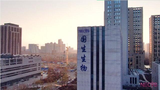 ��˾����